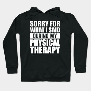 Physical Therapist - Sorry for what I said during my physical therapy w Hoodie